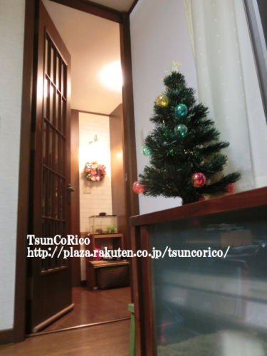 2015クリスマス (8).JPG