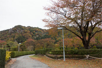 山寺8.jpg