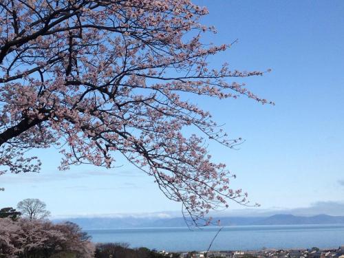 彦根城から琵琶湖を望む.jpg