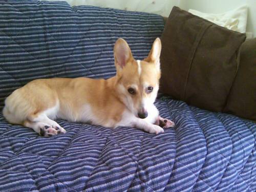 3 隠れた一面。。。.JPG