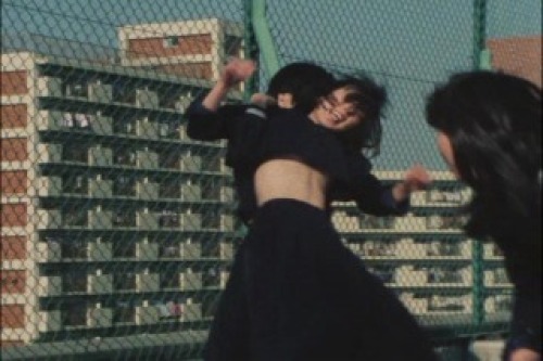 PDVD_012.jpg