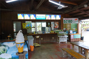 沖縄386.jpg
