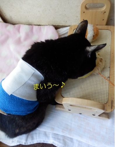 20151205_6.jpg