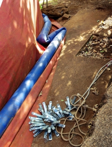 pict-シロアリ 7.jpg