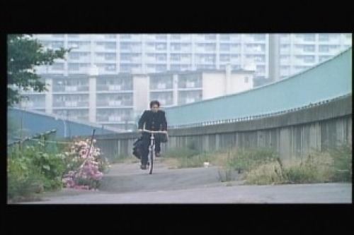 PDVD_053.jpg
