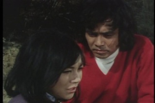 PDVD_059.jpg