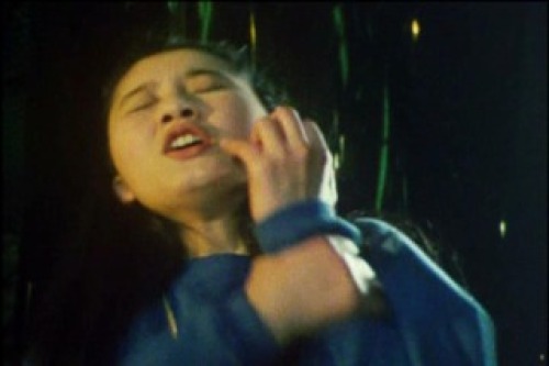 PDVD_006.jpg