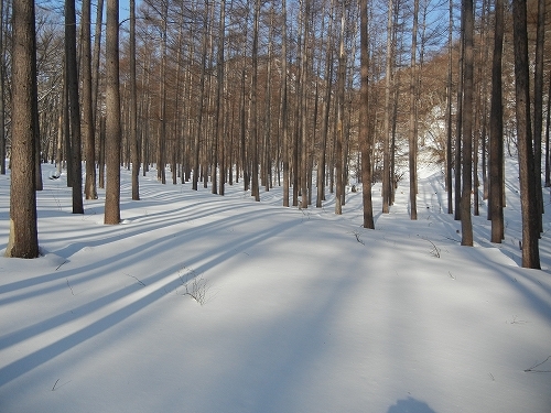 20140201雪道１.jpg