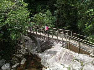 屋久島29.jpg