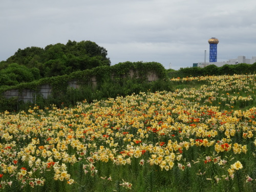 20140628-1.JPG