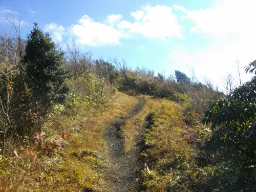 箱根外輪山 (26) (500x375).jpg