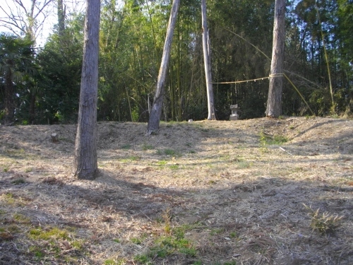 青鳥城本丸 (500x375).jpg