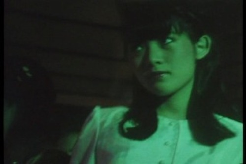 PDVD_028.jpg