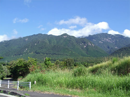 いわさき87.jpg