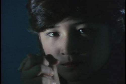 PDVD_016.jpg
