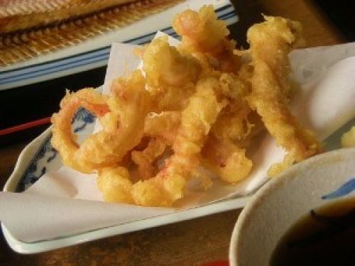 DSCN1295 (300x225).jpg