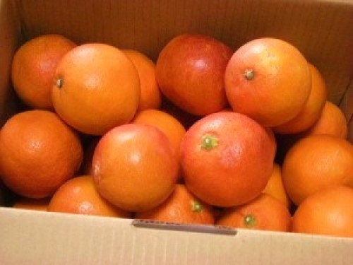 DSCN5750 (300x225).jpg