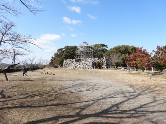DSC00275.jpg