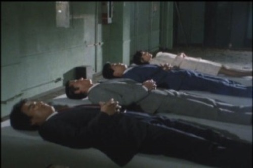 PDVD_012.jpg