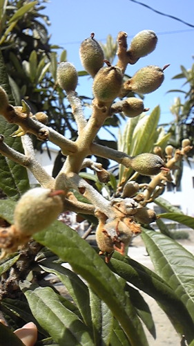 4月１５日 001.JPG