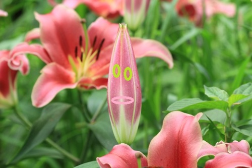 IMG_9829 - コピー.JPG