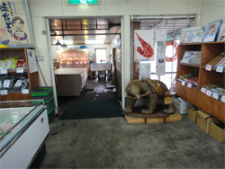 釧路4.jpg