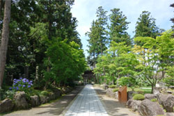 佐渡129.jpg