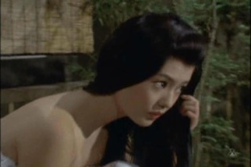 江戸特捜指令 傑作選 その1 美女 特撮 ドラマ 江戸特捜指令 傑作選 その1 美女 特撮 ドラマ