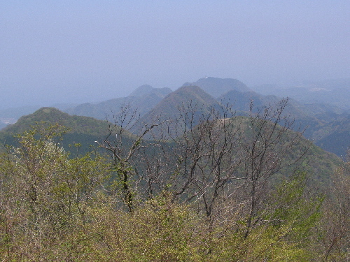 P5051172t.jpg