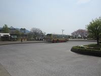 IMG_3391_R.JPG