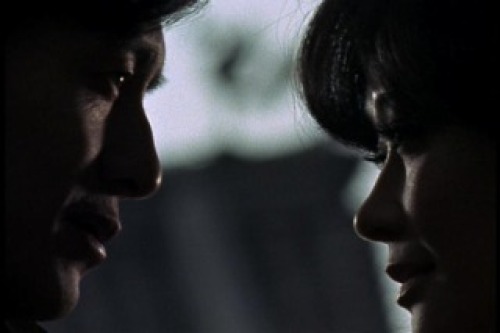 PDVD_011.jpg