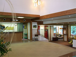 川床4.jpg