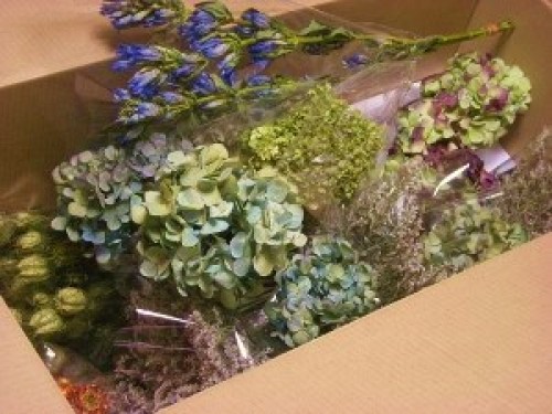 DSCN1551 (300x225).jpg