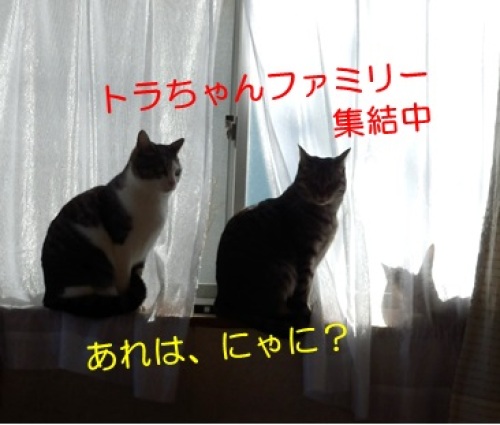 20140210_5.jpg