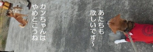 CIMG9224.JPG