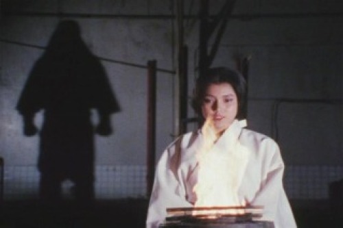 PDVD_000.jpg