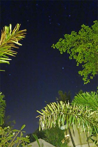 アンコール266.jpg