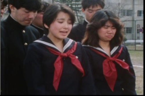 PDVD_013.jpg