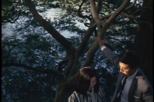 PDVD_009.jpg