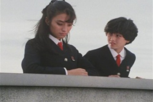 PDVD_023.jpg