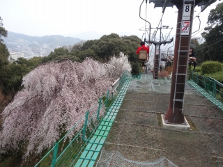 DSC00799.jpg