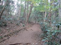 IMG_0108_R.JPG