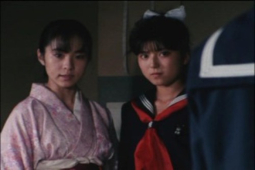 PDVD_011.jpg