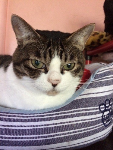 IMG_0372 - コピー.JPG