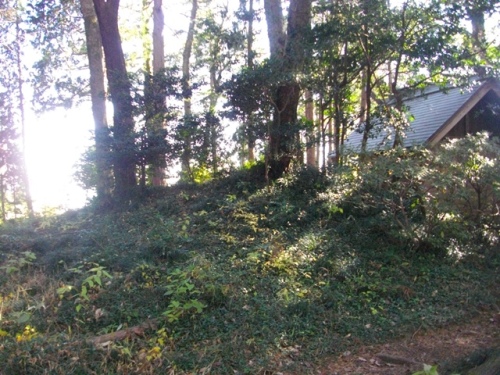 阿伎留城三内神社本社土塁.JPG