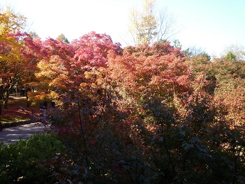 P1030455.jpg