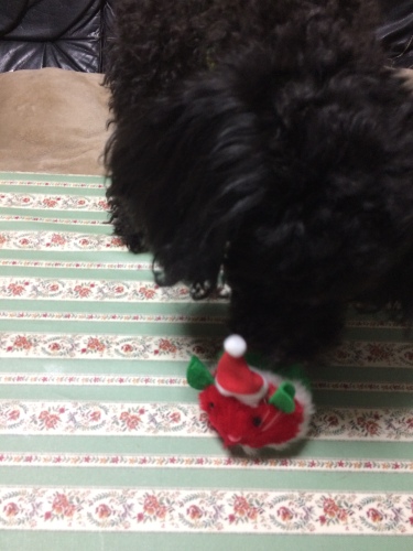 IMG_0637 - コピー.JPG