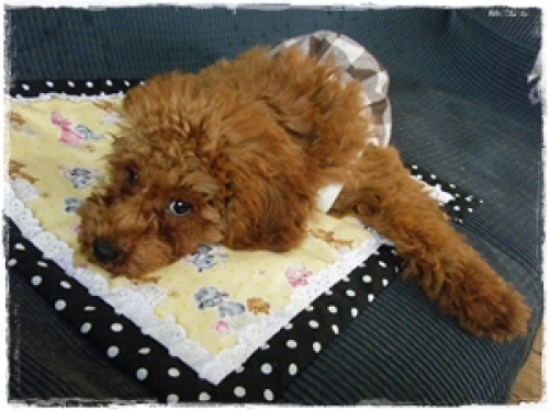 DSCF4121.JPG