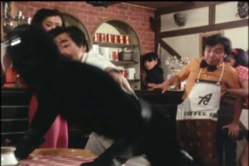 PDVD_026.jpg