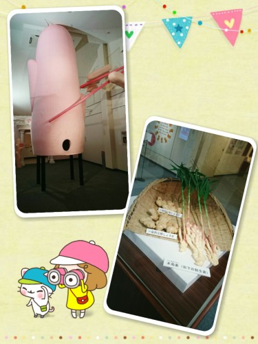 CYMERA_20160219_141243.jpg